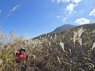 우두산 y출렁다리