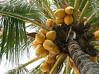 3/21(토),22(일) [힐링..