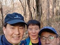 올해 마지막 상황버섯 산행