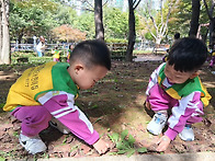 🍁 알록달록 