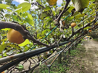 &#127824; 가을 소풍 ..