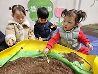 🌸씨앗을 심자~🌱