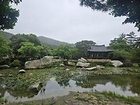 사진 완도 세운정