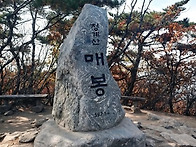 24.11.04 청계산..