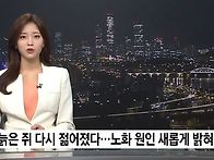 항노화시장이 역노화시장으..