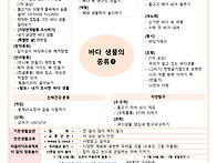 글로벌반 주간교육계획안 ..