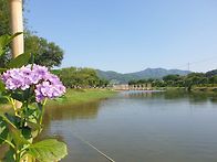 유구색동공원26 6 28