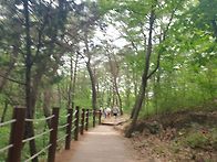 영월 청령포