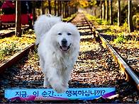 행복하십니까~?