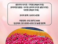 2026년 유경몰 문경햇생오..