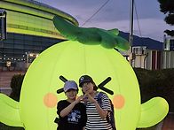 2025년 축구장