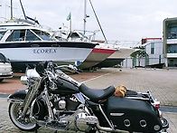 세월이 흐르고 쌓여 맛은 ..