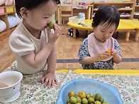 새싹반 6월4주 놀이활동입..