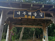 경기도 안산