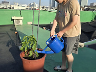 텃밭이야기 2 '수..