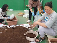 텃밭 풍경