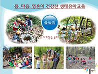 숲놀이 프로그램