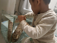 꽃들반 김동우 버섯키우기