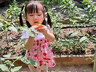 6월4주 열매반 놀이이야기
