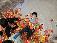 11월2주 특별활동 (씽씽놀..