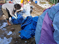 일요일..봉사소식