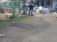 일요일.봉사후기