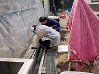 일요일봉사후기