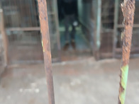 토요일.봉사소식