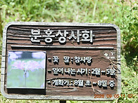 불갑산 3