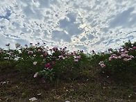 백두대간12코스(일부)