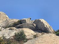 부칸산.파랑새.서..