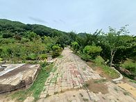 8월가뭄후단비