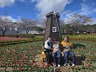 4월4일 벚꽃나들이 다녀왔..