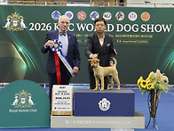 2026.10.25한국애견협회도..