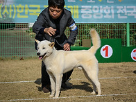 2024.11.23중앙회(화성)..