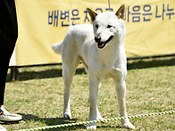 2026.05.09한국애견연맹(..