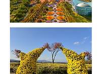 거창 창포원 안내