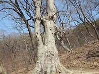 공업탑산우회 정기산행 사진입니다