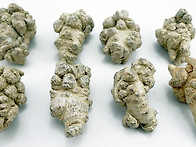 타박상,골절 등에 효과가 ..