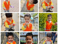 딸기밭, 유채꽃밭 나들이