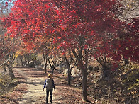 축령산ㆍ서리산