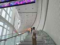 엘씨티