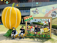 🤍풀잎 - 봄소풍🤍