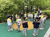 &#129293;솔빛-숲체험&#129293;