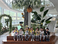 🤍솔빛-봄소풍🤍