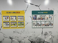 &#129293;풀잎 - 소