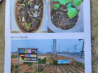 환경특공대 활약상~~
