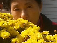 디카시 1 (미소 꽃외6편)