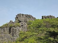 전남 보성 제암산