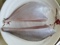 (판매중) 횟감병어,참농어..